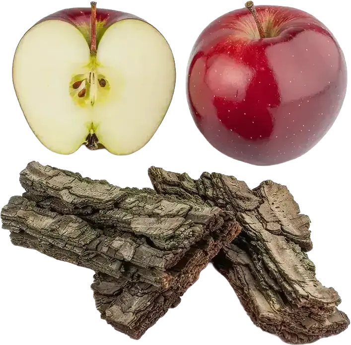 Apple Bark Extract