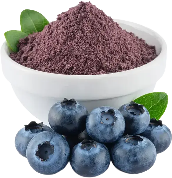 Blueberry Extract
